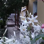 Apartment Matulji *